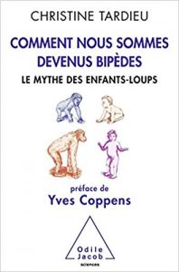Couverture du livre de Christine Tardieu : Comment nous sommes devenus bipèdes (représentations de singes et d'enfants en positions bipèdes et quadrupèdes)